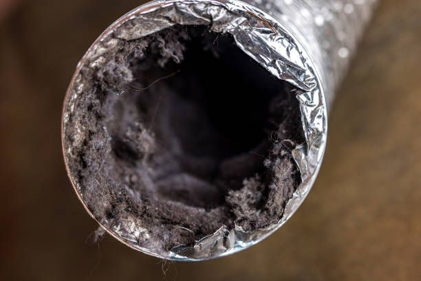 Best Ductwork Cleaning Services  in Deerfield, MI
