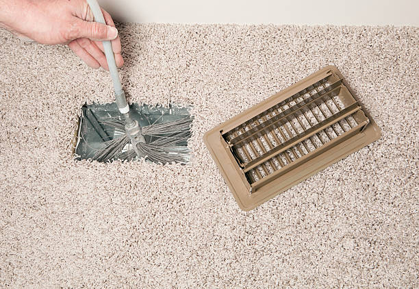 Best Air Duct Mold Removal  in Deerfield, MI