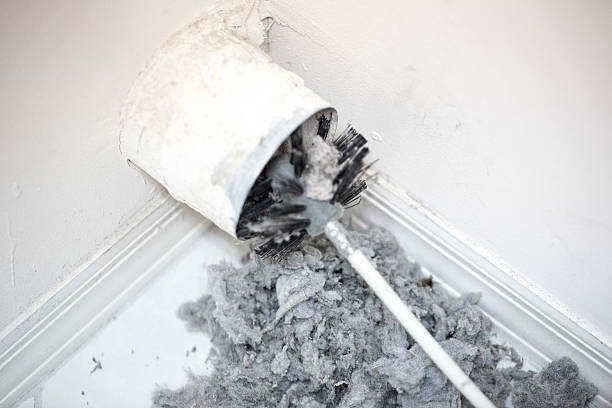 Best HVAC Duct Inspection Services  in Deerfield, MI